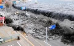 Сообщение о цунами Почему цунами часто приводит к большим жертвам