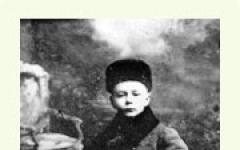 Dmitry Kedrin - kratka biografija, kreativnost i zanimljive činjenice Dmitry Borisovich Kedrin kratka biografija za djecu
