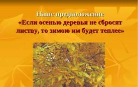 Multimedijska prezentacija „Opadajuće lišće će se kovitlati u jesen“ prezentacija za lekciju o svijetu oko nas (mlađa grupa) na temu