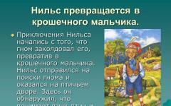 Прекрасното патување на Нилс со дивите гуски од Селма Лагерлоф Краток опис на авантурата на Нилс со дивите гуски