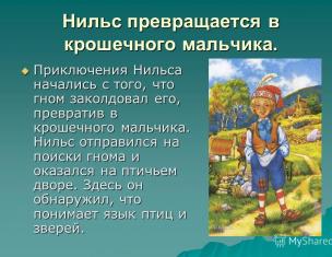 Чудесное путешествие Нильса с дикими гусями Сельмы Лагерлёф Краткое описание приключения нильса с дикими гусями