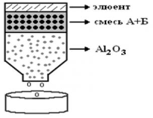 Mass spectrometric identification of proteins and protein complexes on atomic force microscope chips Kaisheva, Anna Leonidovna