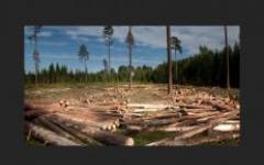 Η έννοια του επιχειρηματικού ξύλου στο σύγχρονο επεξηγηματικό λεξικό, bse